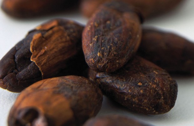 FBI Warns of Resentful Employees Stealing Data for Revenge