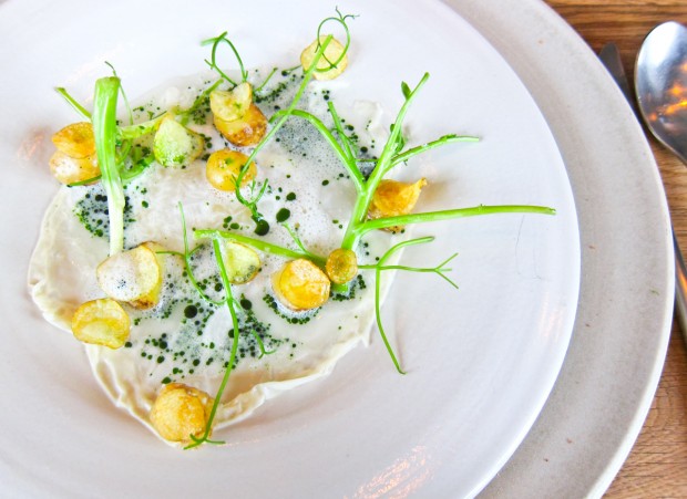 world's most coveted restaurant: Noma Apple likely to launch a stylus along with the iPad Pro