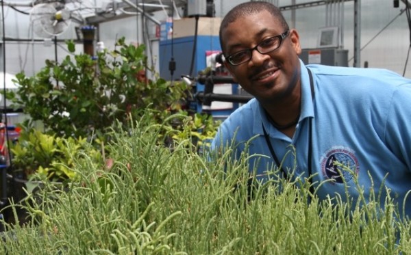 Bilal_Bomani 2018 Audi A5 Sportback Ribboned Off Prior to The Paris Auto Show 2016