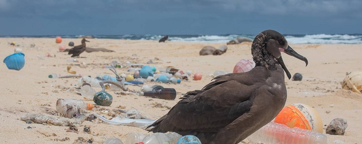 Ocean Plastic Startup