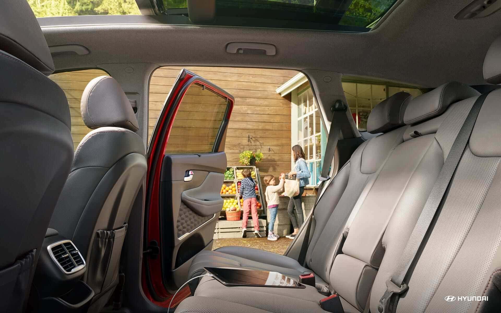 Hyundai 2019 Santa Fe Interior