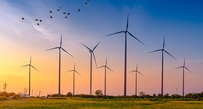 top clean energy companies