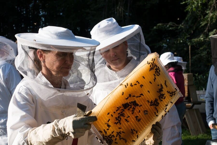 Bybi Harvest Female Beekeepers