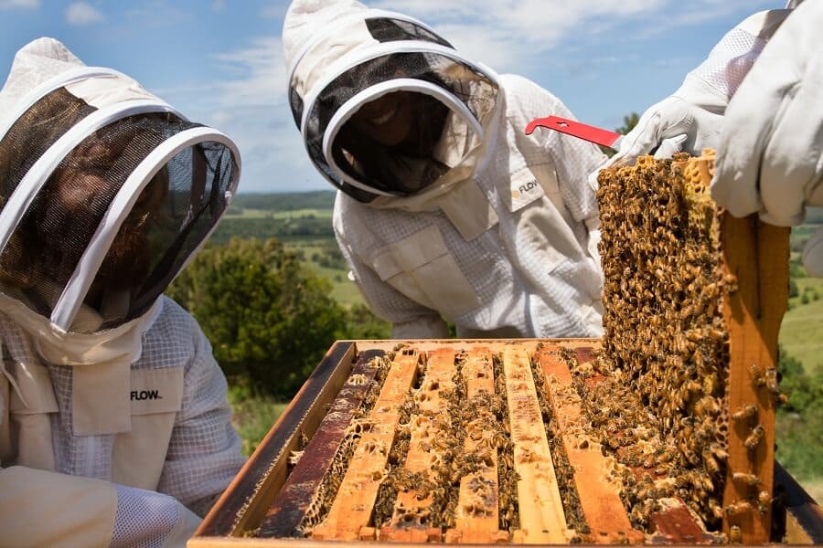 Flow BeeJacket Mesh Beekeeping