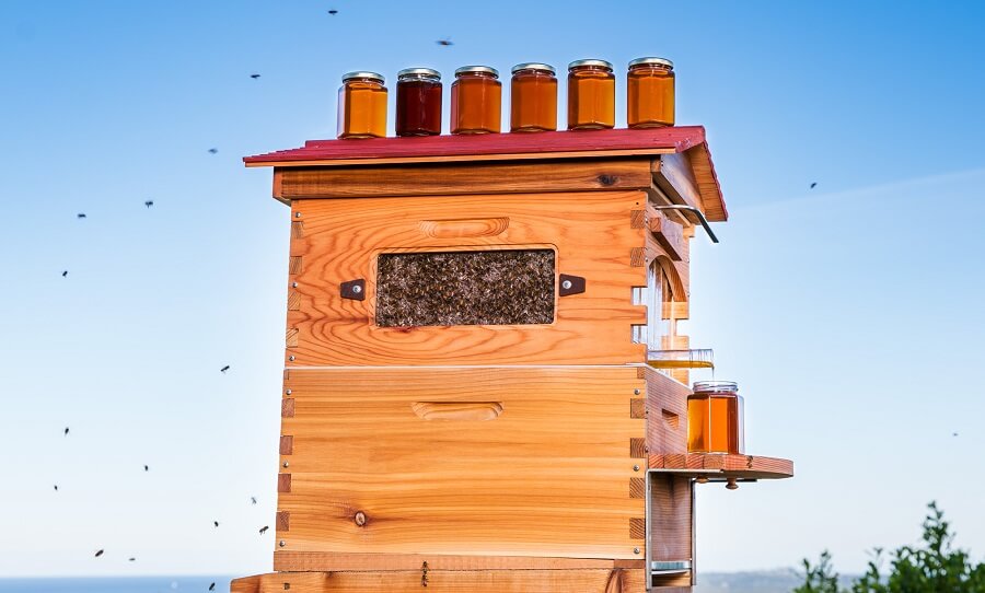 Honey Harvest Sky Replacement Flow Hive Classic