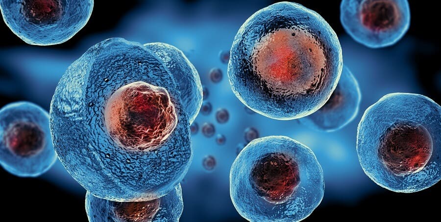 Stem Cell Medicine