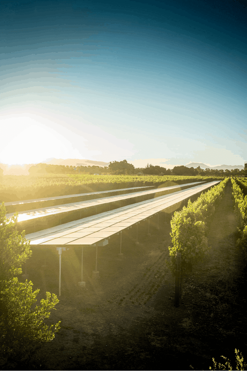 Living Building Image 02