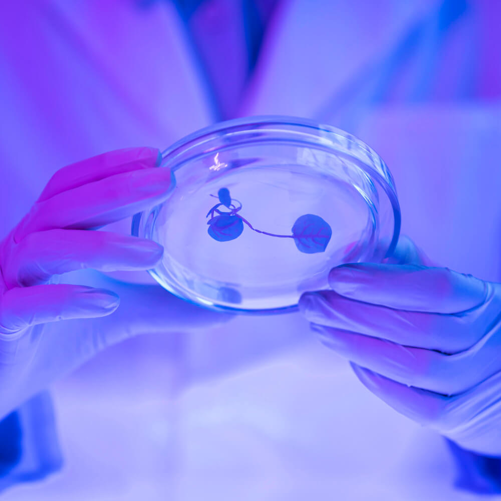 Biotechnology Moderna Flagship Pioneering