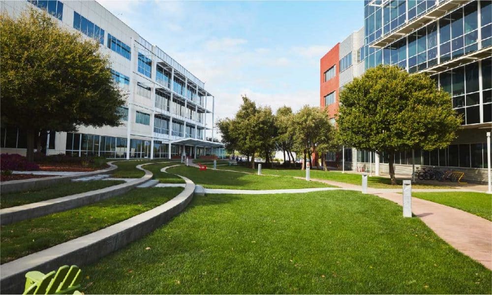 Alphabet's Google TikTok