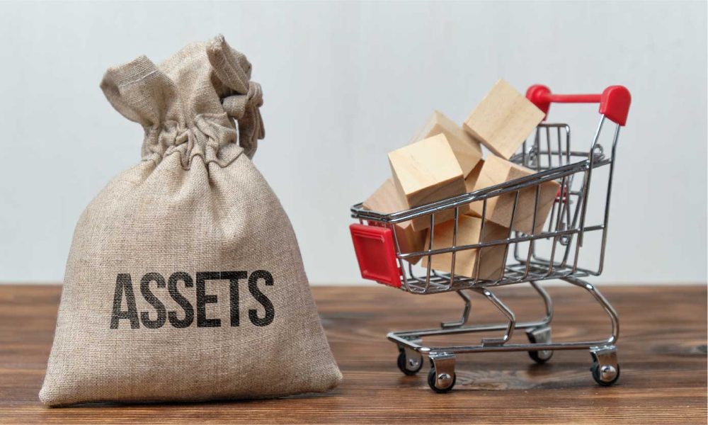 Private Equity Asset Management