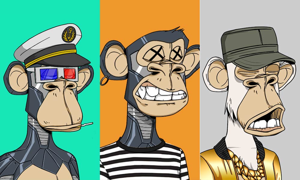 The bored Ape Yacht Club