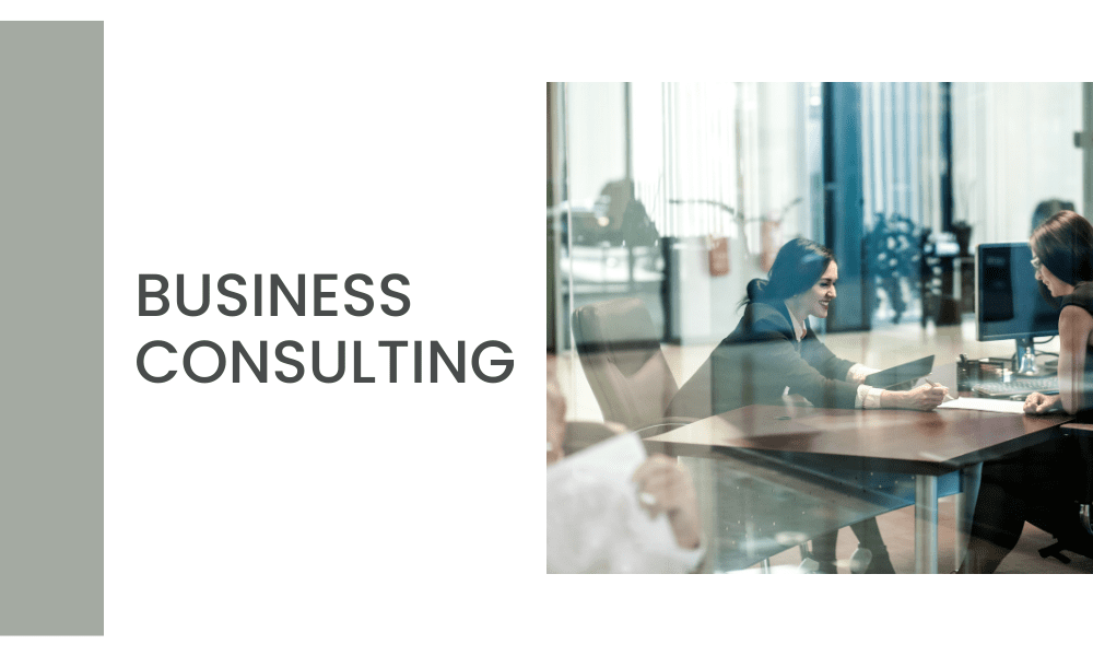Business Consulting