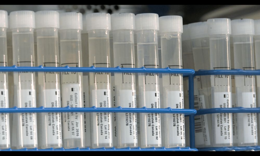 23andMe Hack Led to Theft of Ancestry Data of 6.9M Users