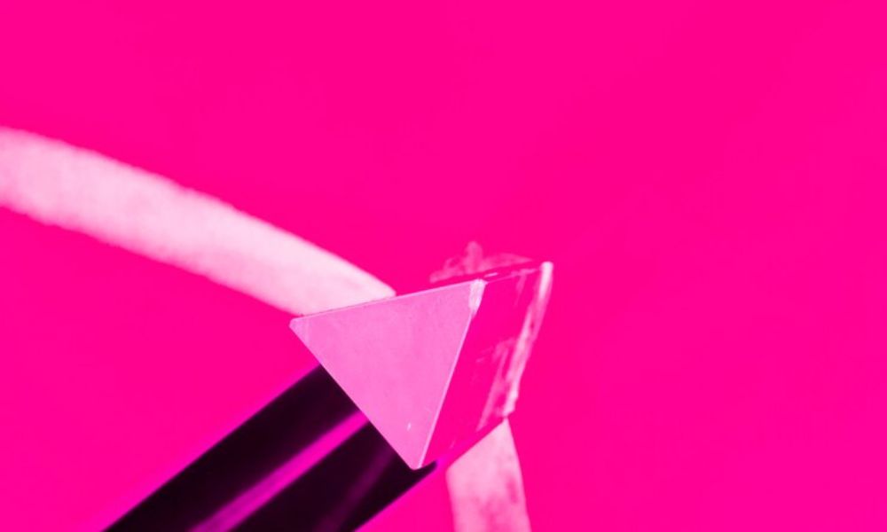 Leadership Agenda 2024: Exploring Business Trends