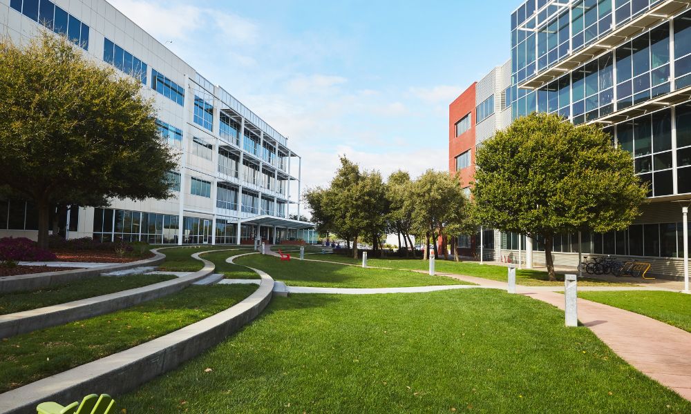 Google Layoffs More Employees, Shifts Roles Abroad for Cost Cutting