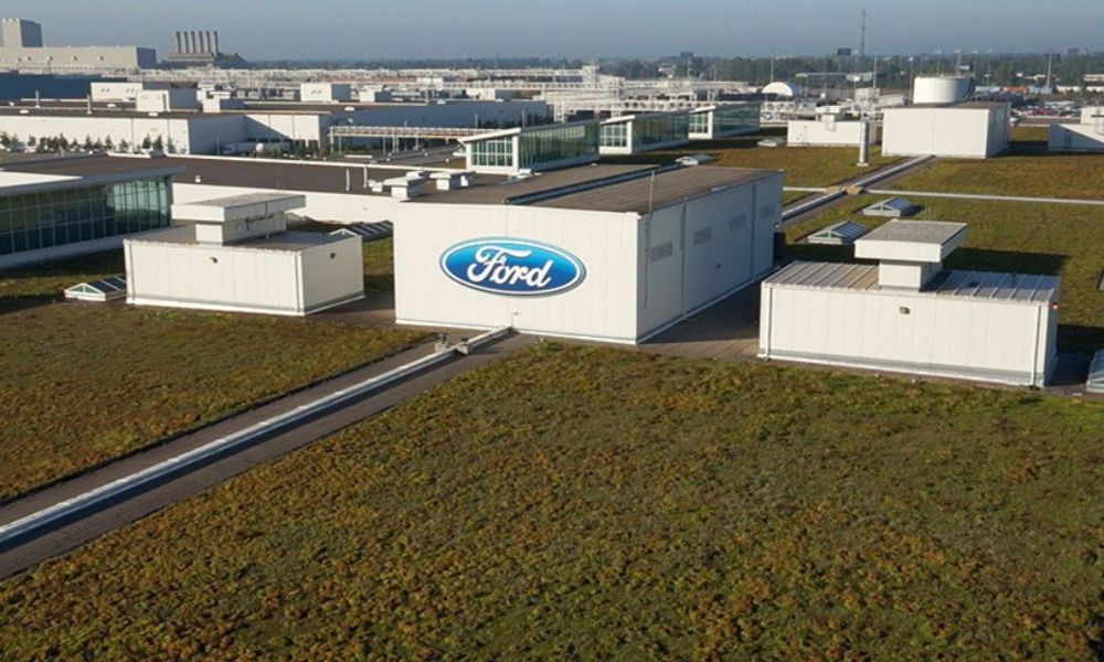 Ford's Stock Tumbles 11% After Disappointing Q2 Earnings