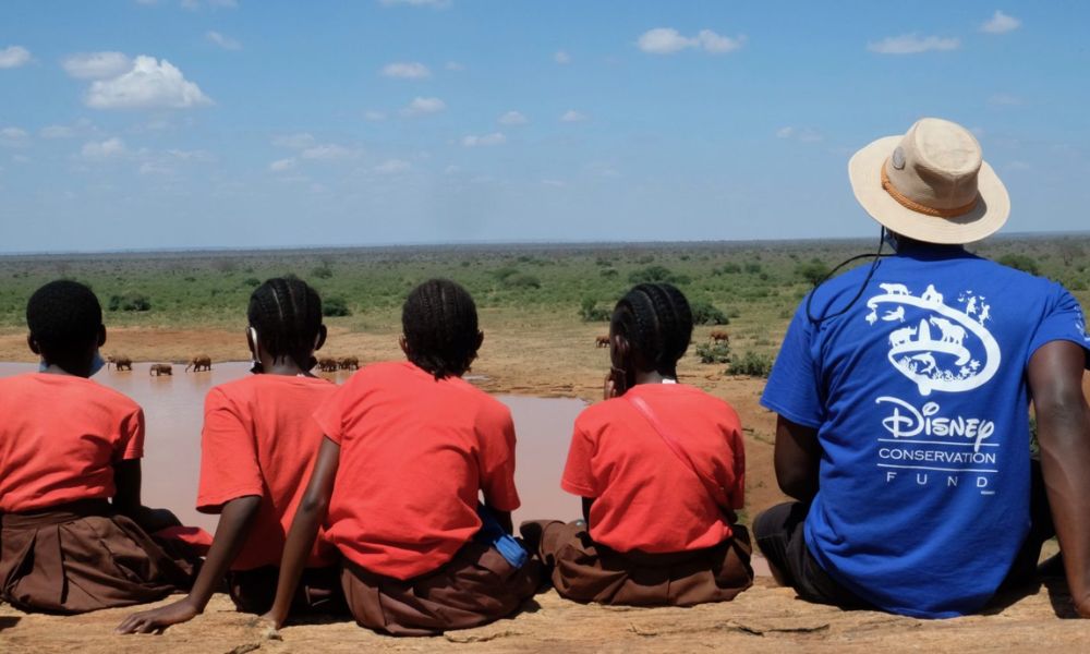 Disney Environmental Programs