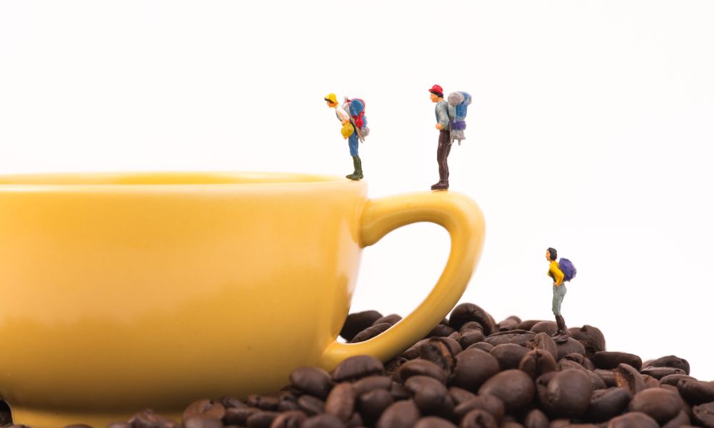 What Your Coffee Choice Reveals About Your leadership Style